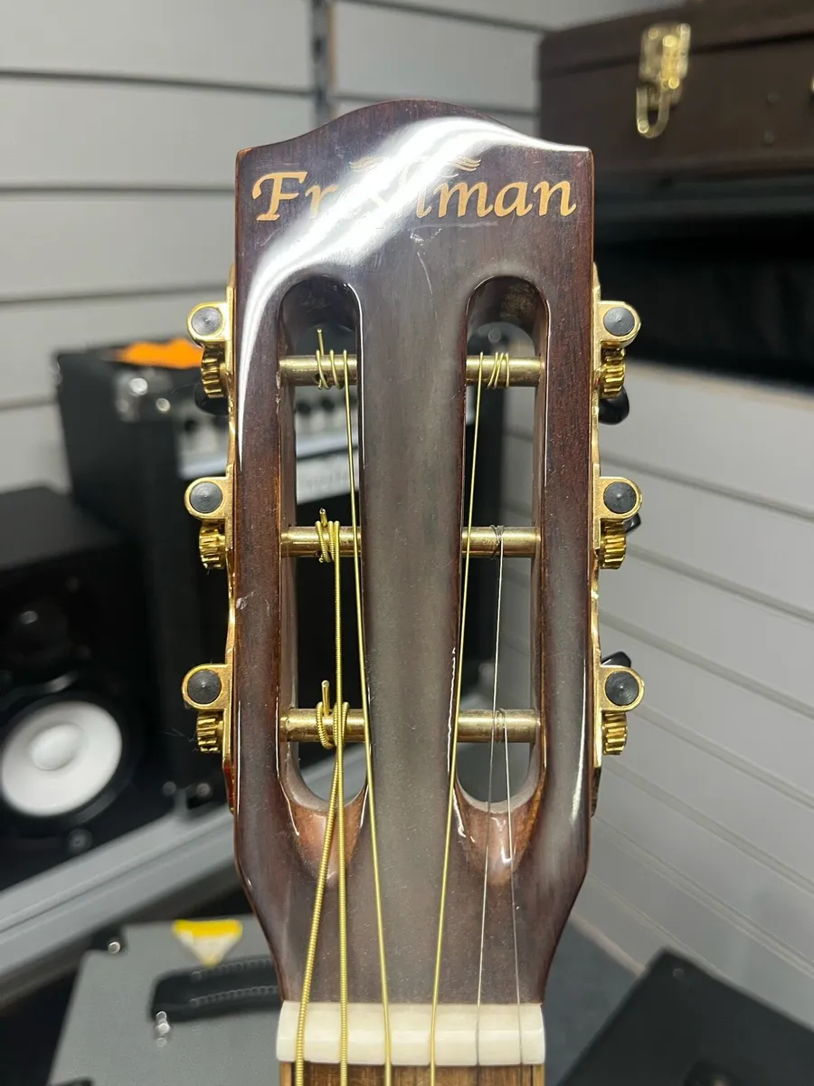 Freshman AB3 Winter Semi Acoustic Guitar - Image 3