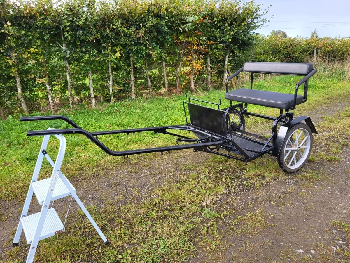 Small Pony 2 Wheel Exercise Cart - Image 1