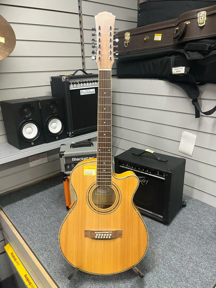 Freshman FA1AM12 Semi Acoustic 12 String Guitar - Image 1