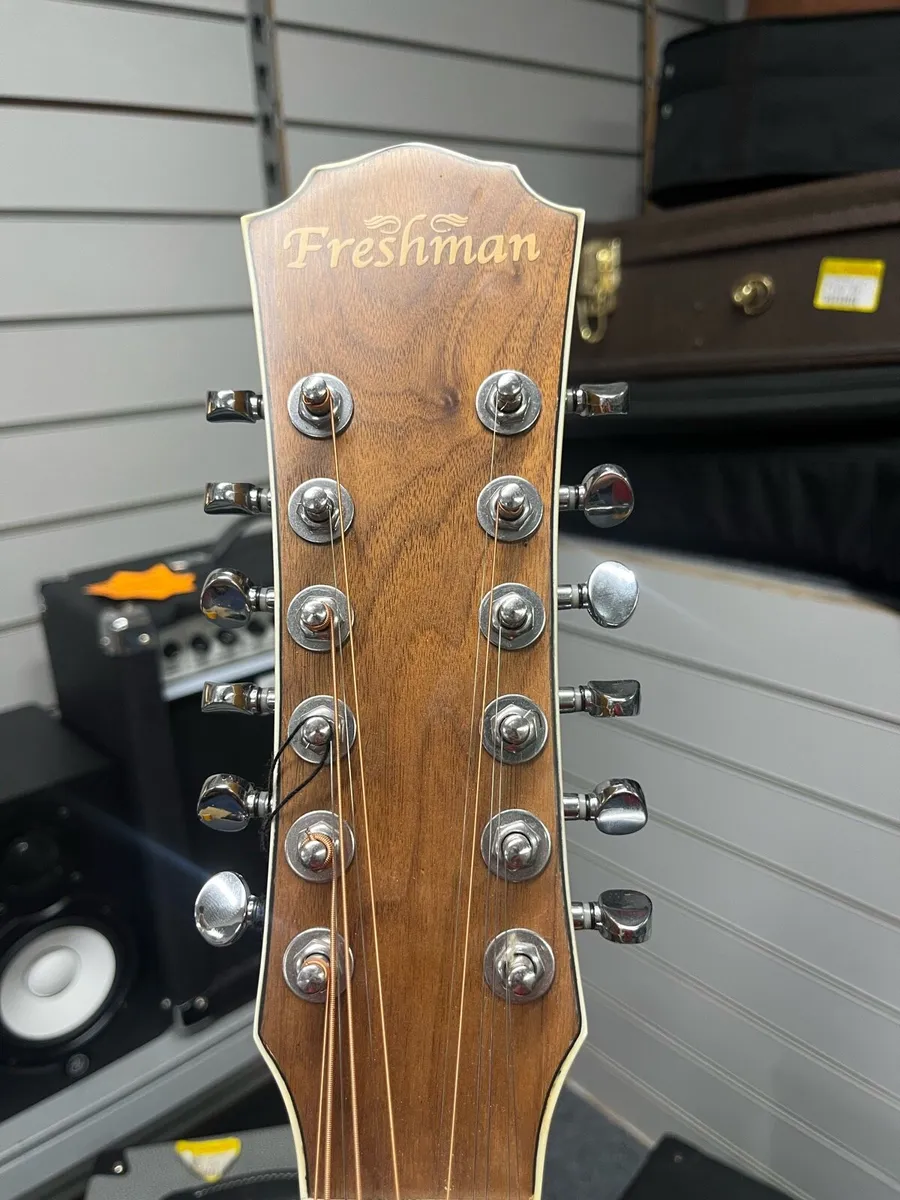 Freshman FA1AM12 Semi Acoustic 12 String Guitar - Image 3
