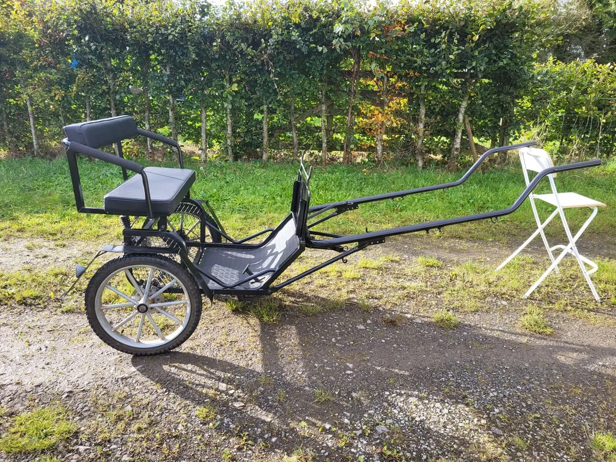 Small Pony 2 Wheel Exercise Cart - Image 2