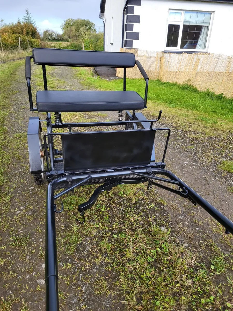 Small Pony 2 Wheel Exercise Cart - Image 3