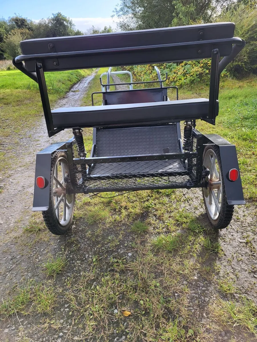 Small Pony 2 Wheel Exercise Cart - Image 4
