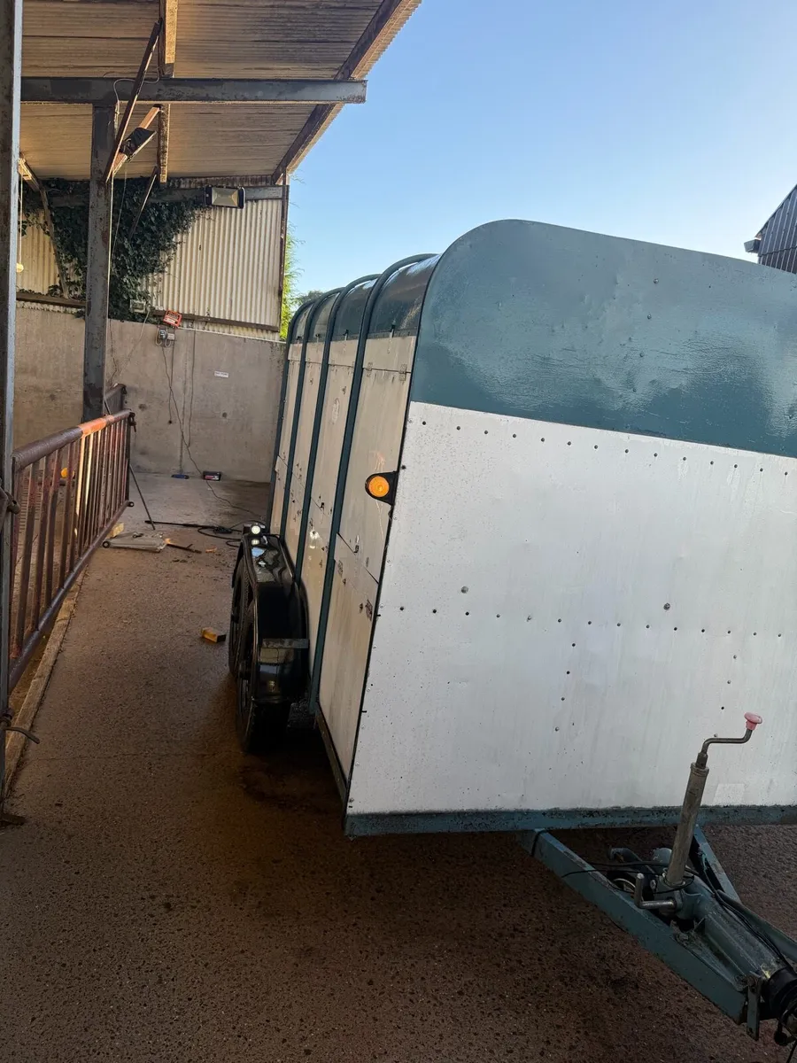 Ifor Williams livestock trailer - Image 1