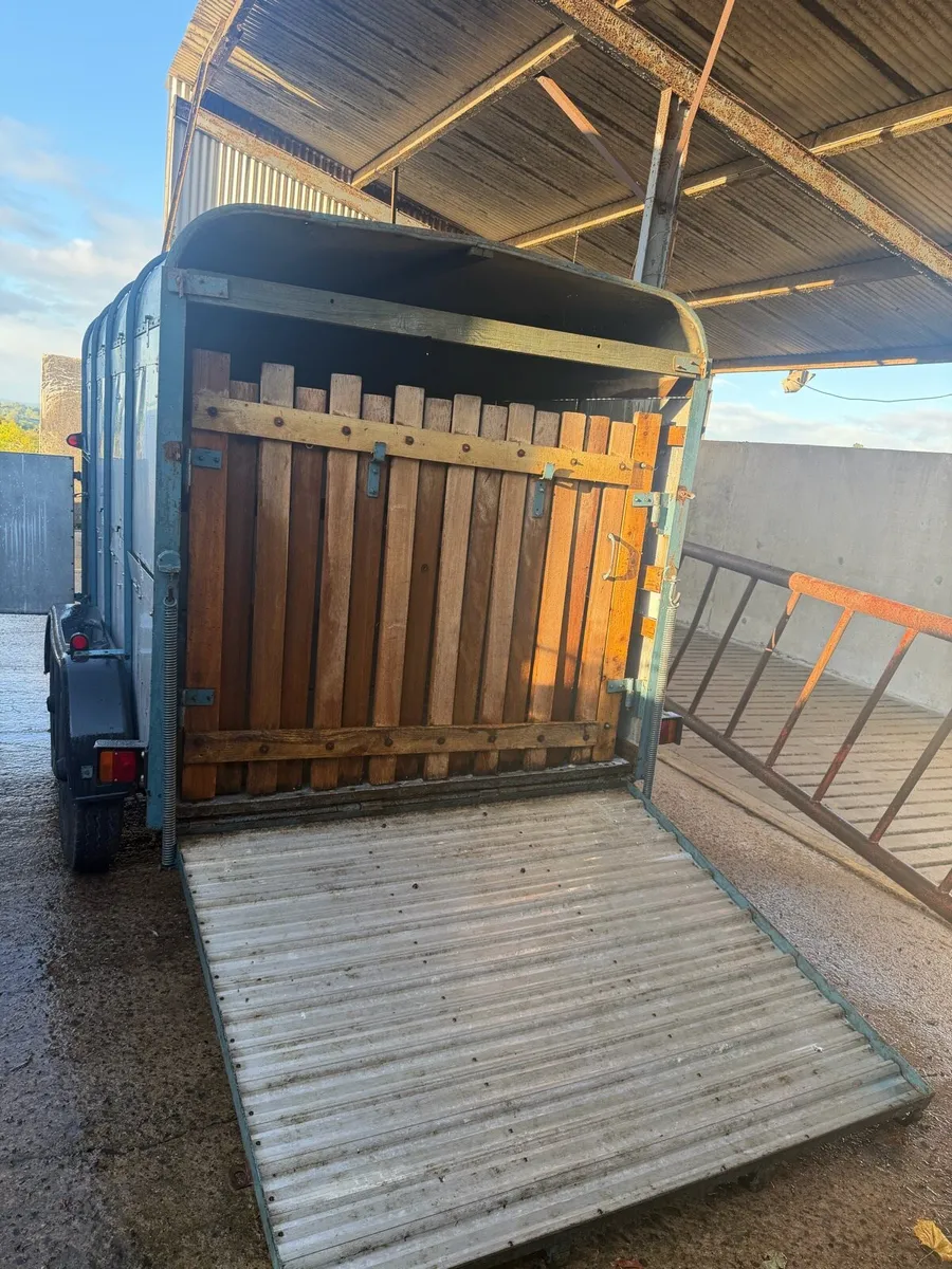 Ifor Williams livestock trailer - Image 4
