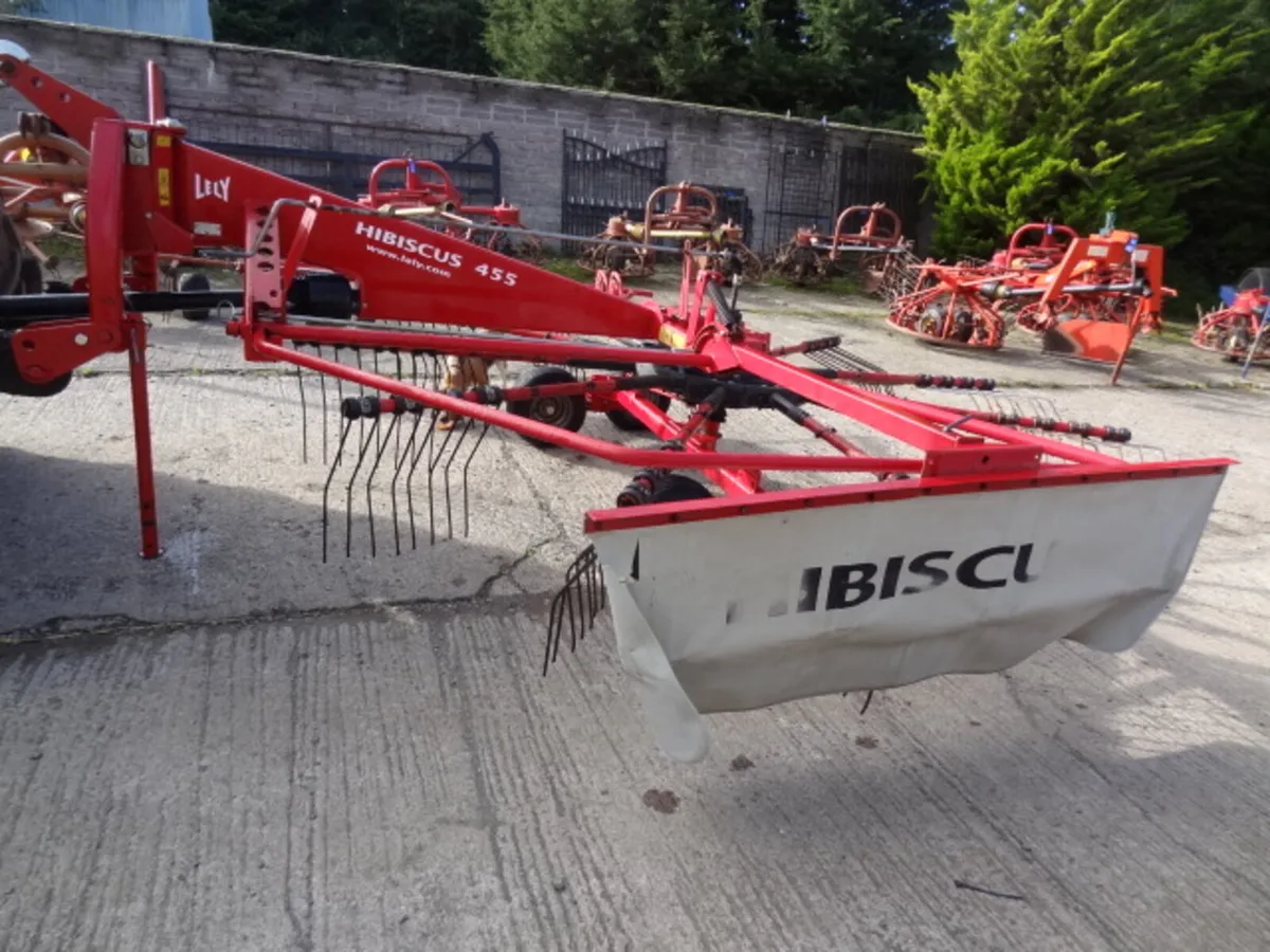Lely Hibiscus 455 Single Rotor Rake - Image 2