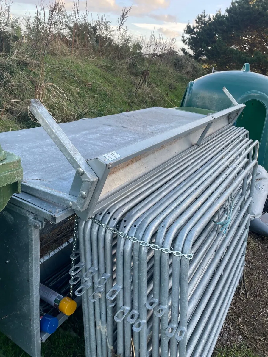 Sheep hurdles/feeders - Image 2