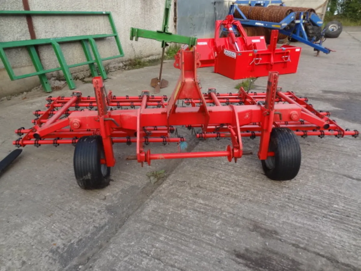 Einbock Tine Grass Harrow - Image 2