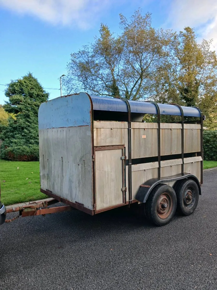 Cattle Trailer - Image 3