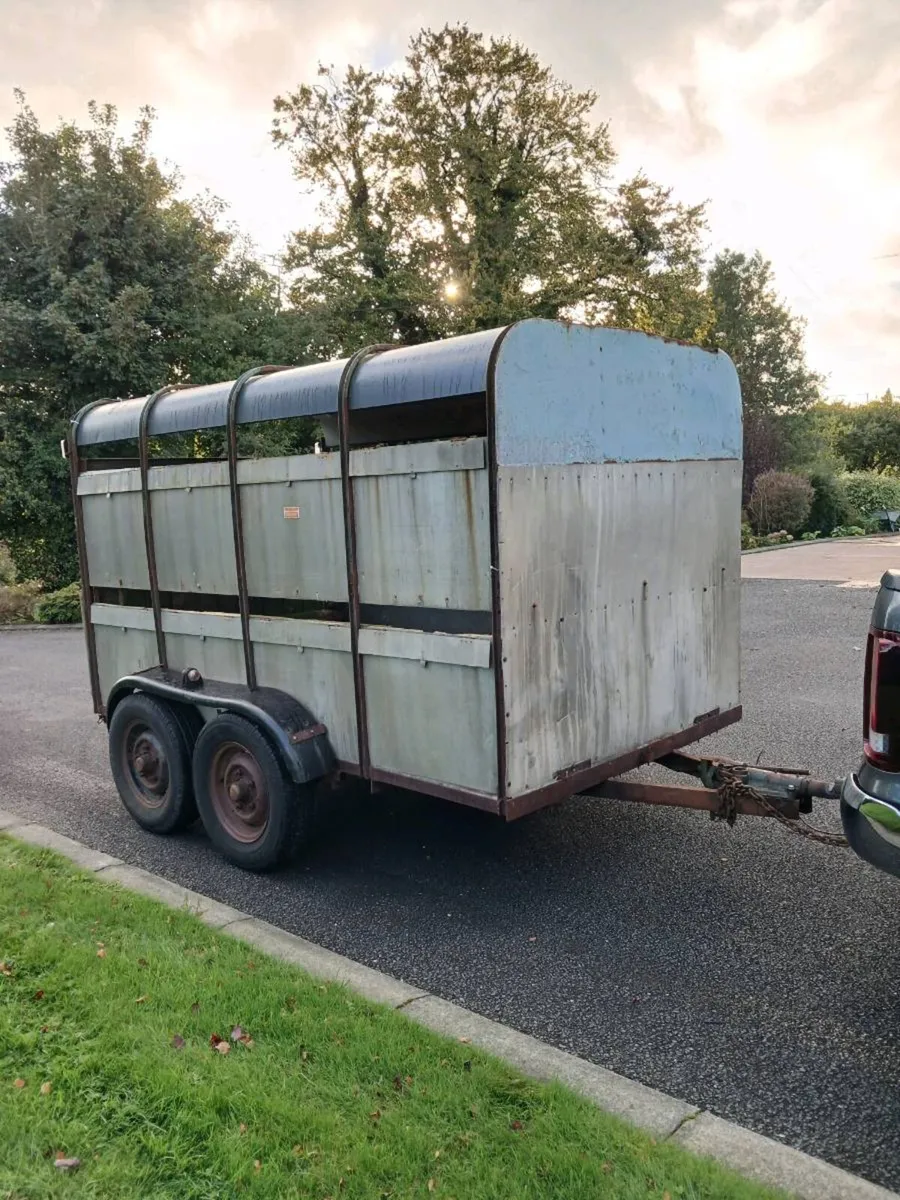 Cattle Trailer - Image 1