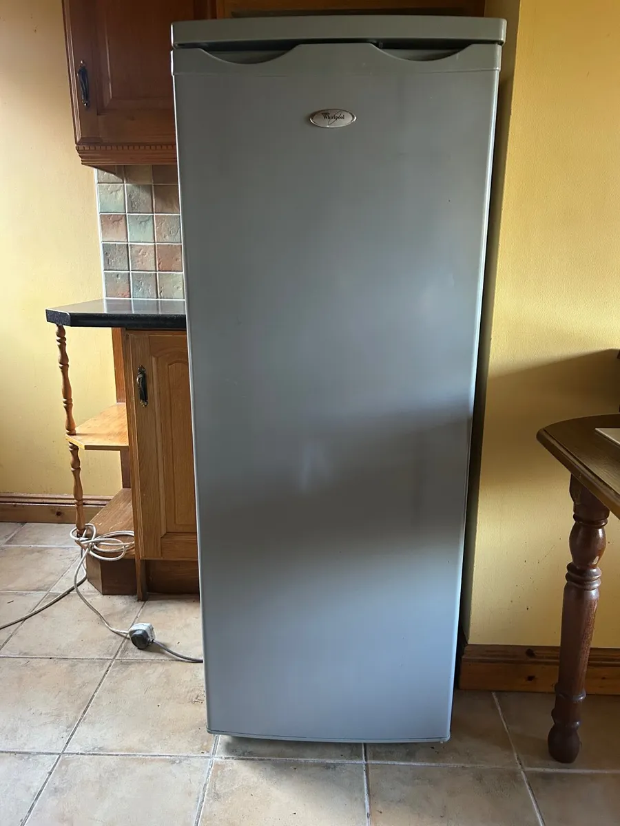 Large Fridge - Image 2