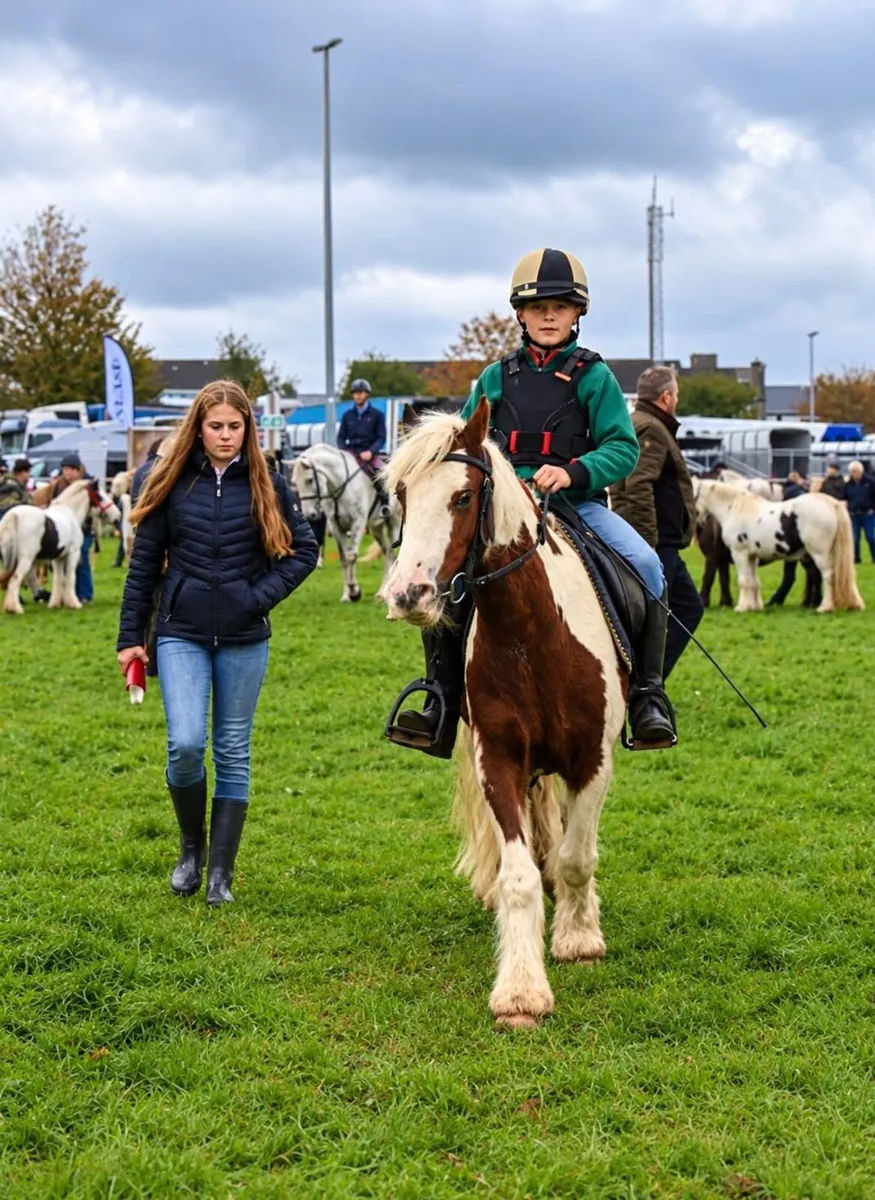 Childs Bombproof  pony 12h - Image 2