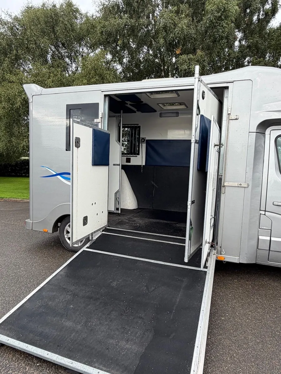 2019 George smith / Renault master Horse box - Image 2
