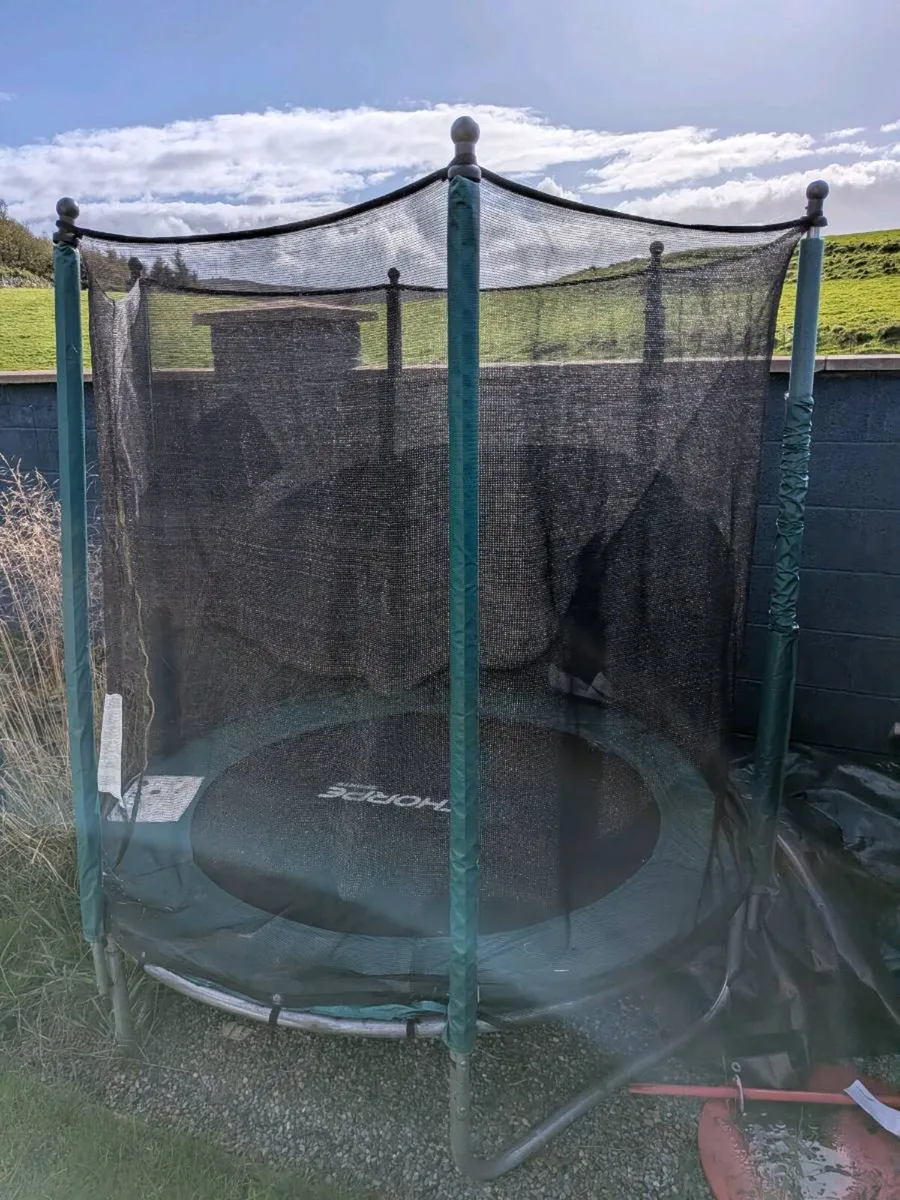 6ft Thorpe Trampoline with Enclosure Net - Image 4