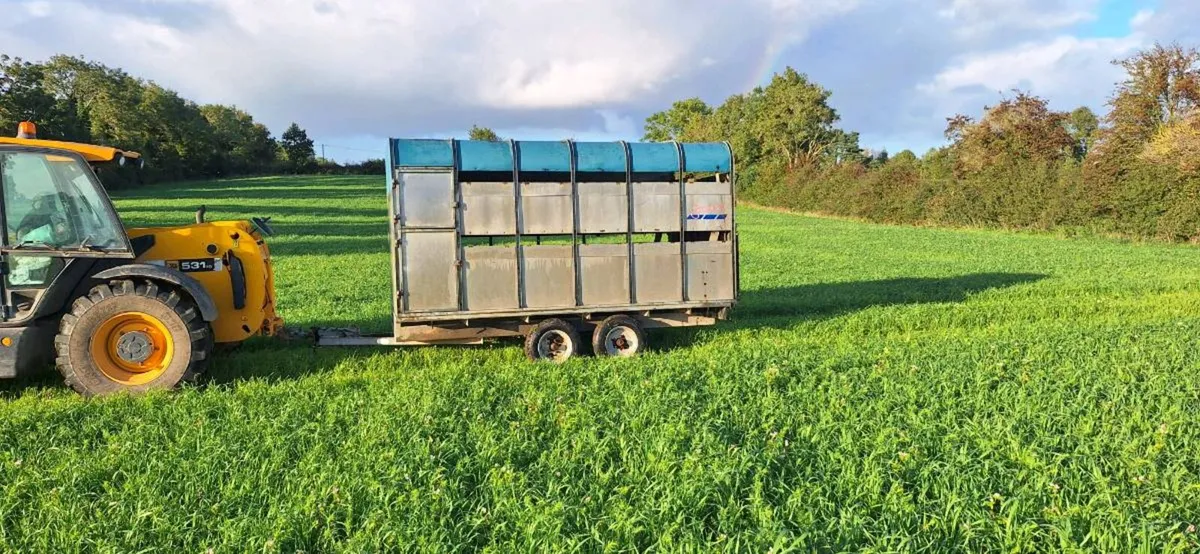 12 by 6'6 sheep trailer with decks - Image 1
