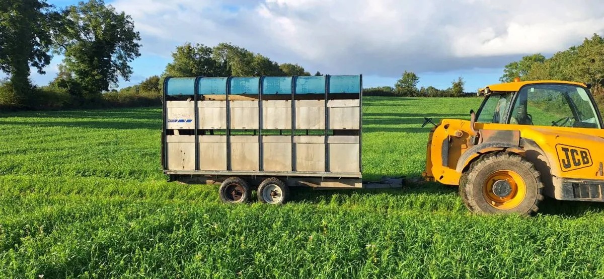 12 by 6'6 sheep trailer with decks - Image 2