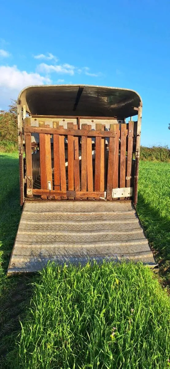 12 by 6'6 sheep trailer with decks - Image 3