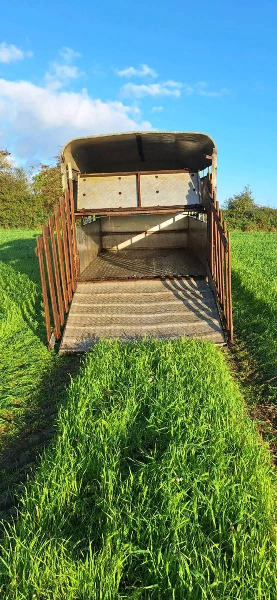 12 by 6'6 sheep trailer with decks - Image 4