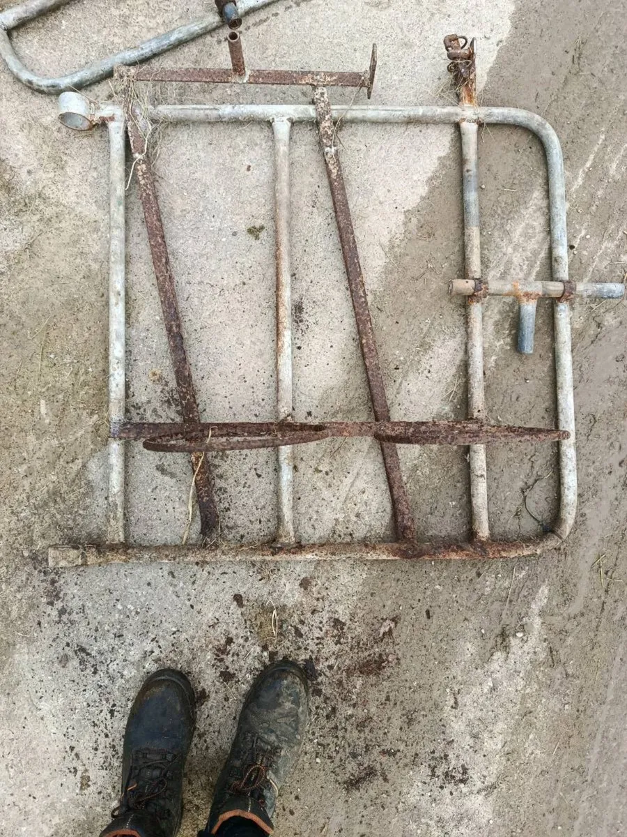 Calves pins - Image 1