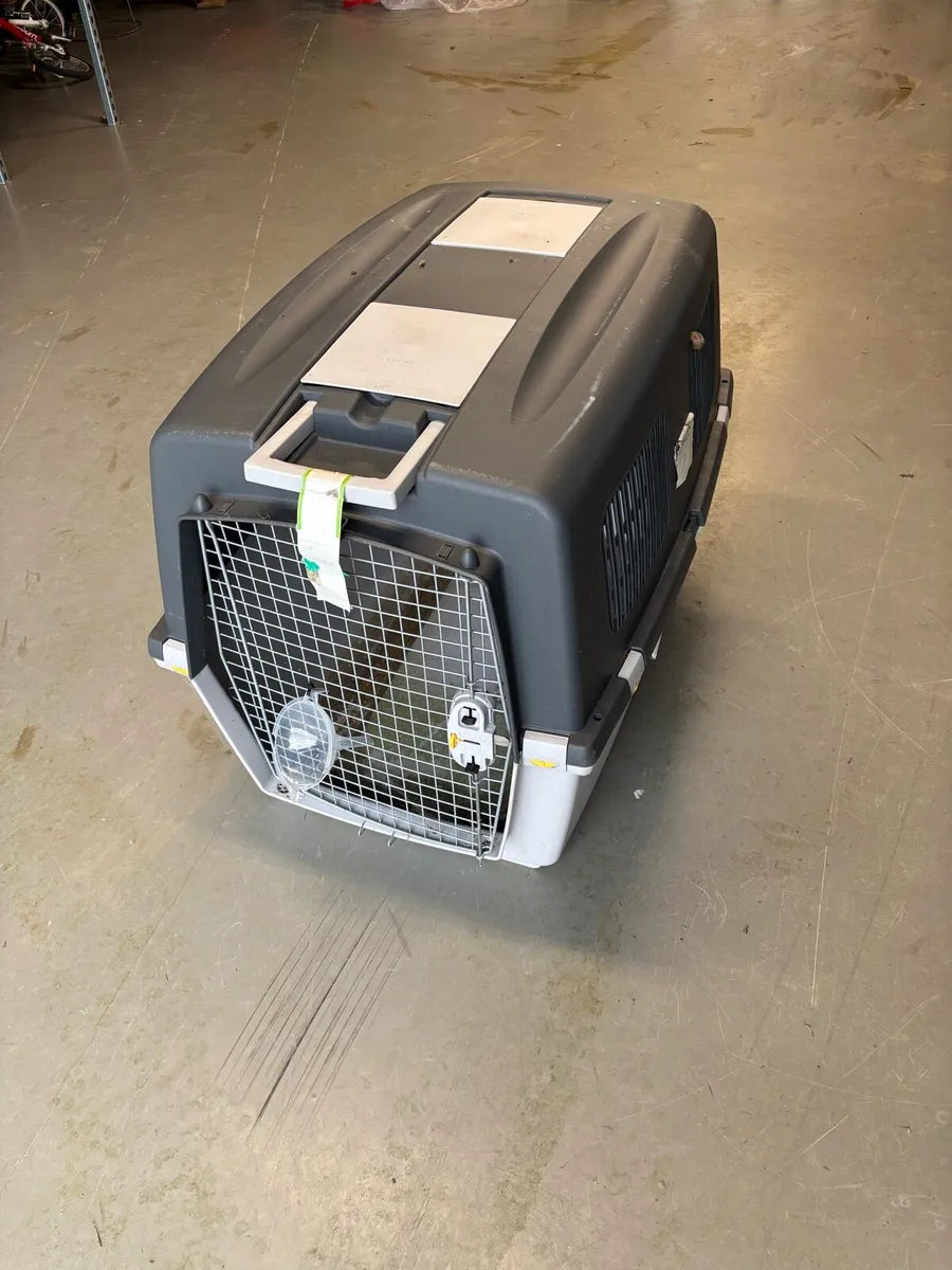 Pet Carry/Travel cage - Image 2
