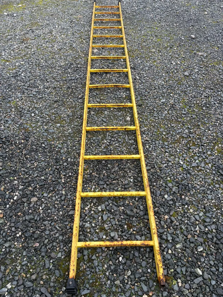 Scaffolding ladder