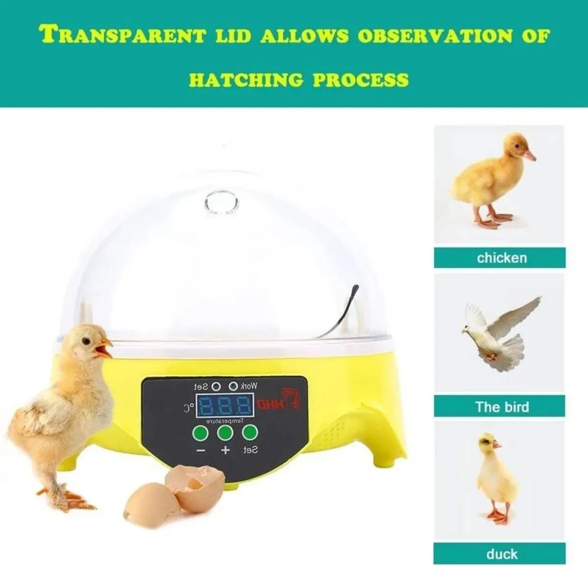 Egg Incubator Mini 7 Egg Hatching Machine - Image 2