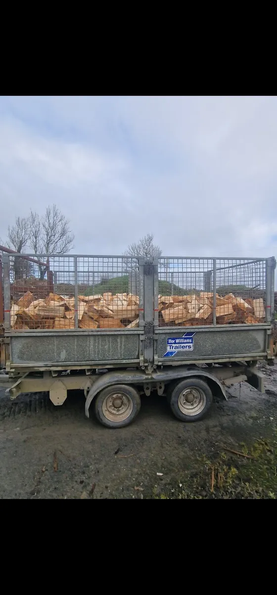 Dry Firewood - Image 2