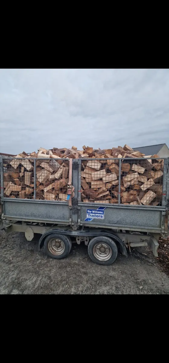 Dry Firewood - Image 3