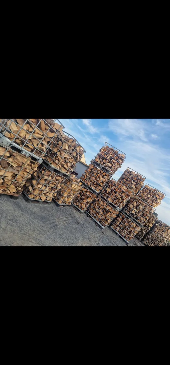 Dry Firewood - Image 1