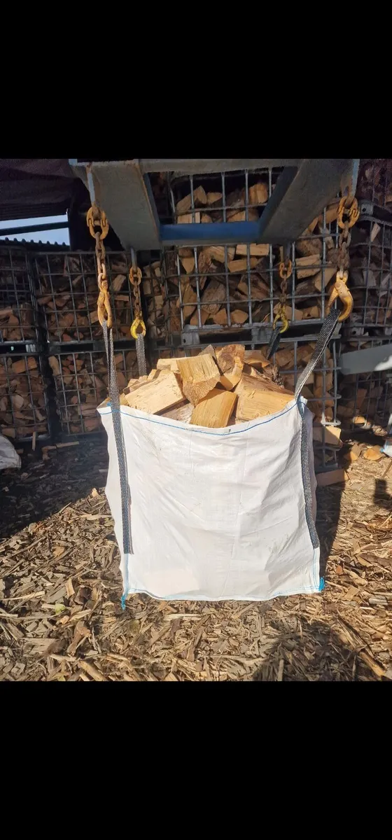 Dry Firewood - Image 4