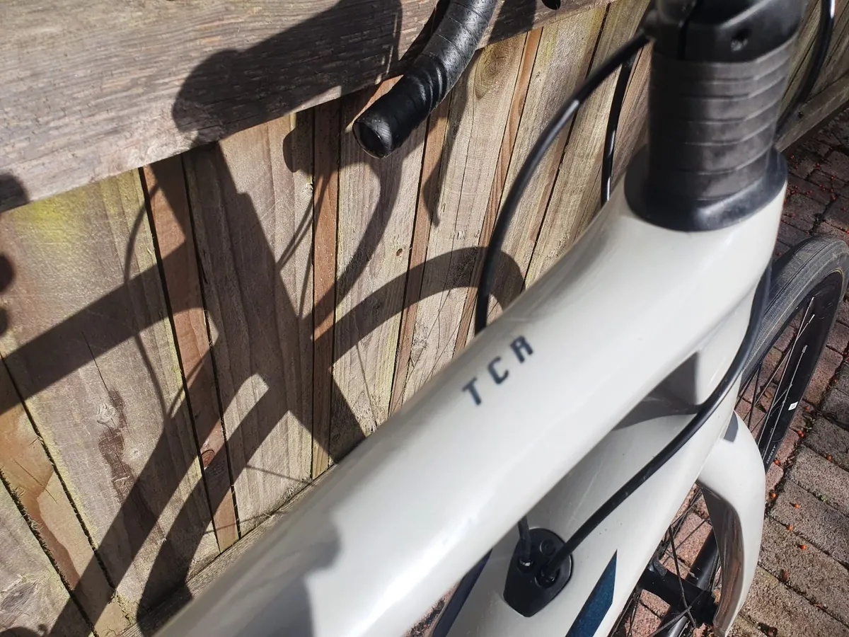 Giant tcr Advanced 1 disc pro - Image 2