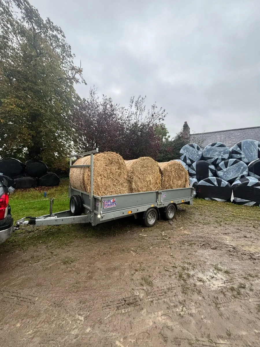 Tuffmac trailer - Image 1