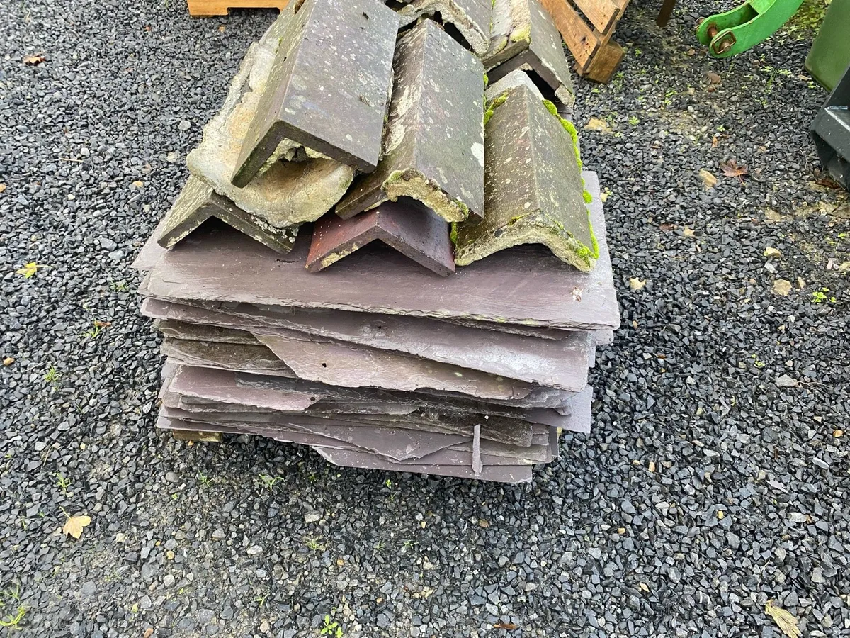 Blue Bangor Slates - Image 2