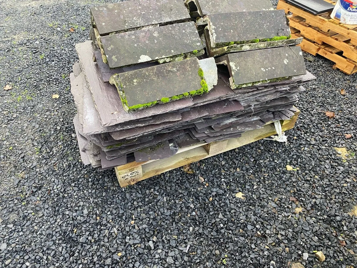 Blue Bangor Slates - Image 3