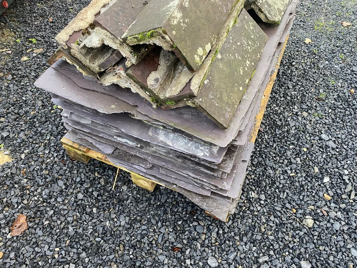 Blue Bangor Slates - Image 4