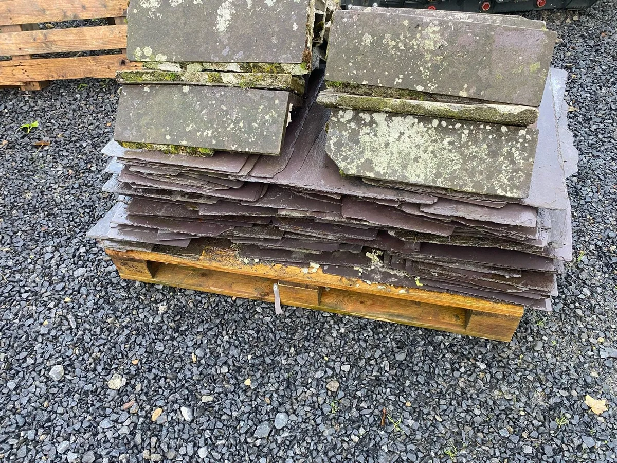 Blue Bangor Slates - Image 1