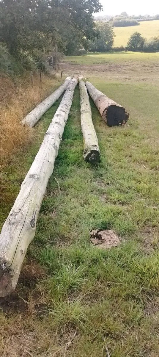 ESB Poles - Image 2
