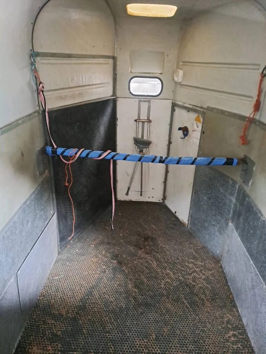 Horse box - Image 4