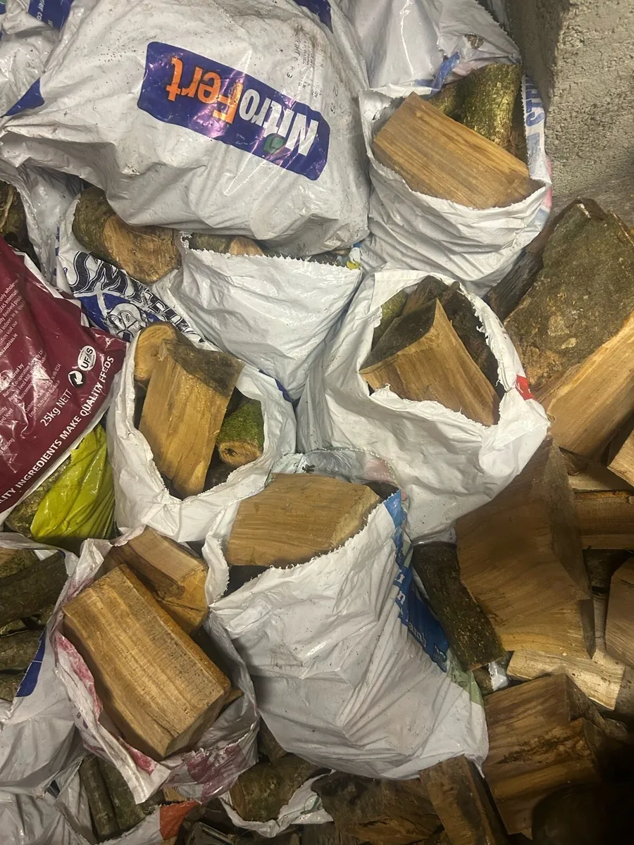 Firewood - Image 2