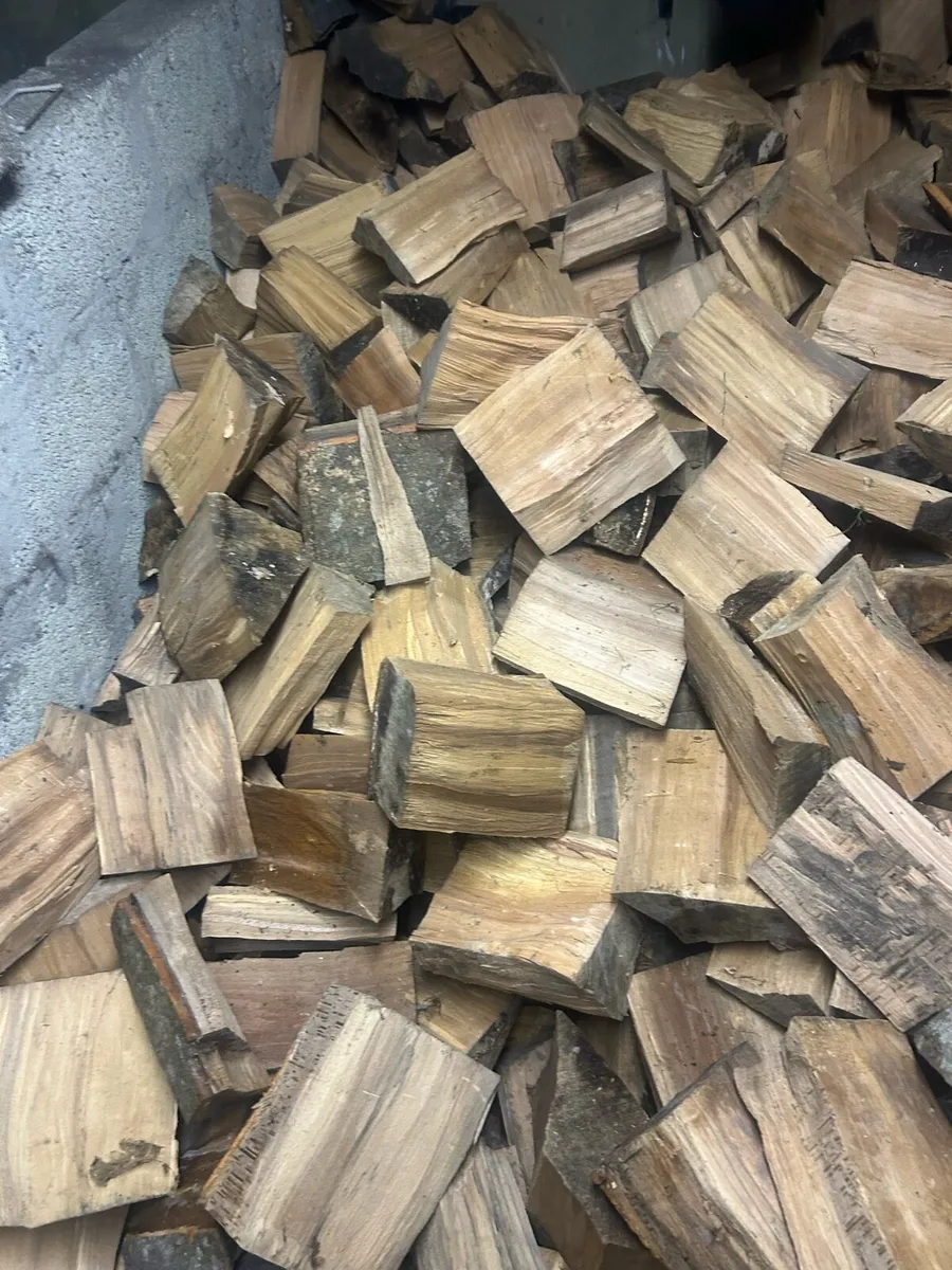 Firewood - Image 3