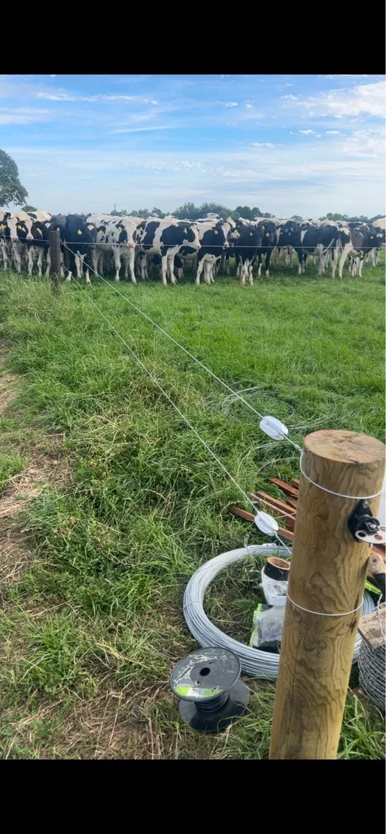 Fencing and general farm maintenance - Image 3