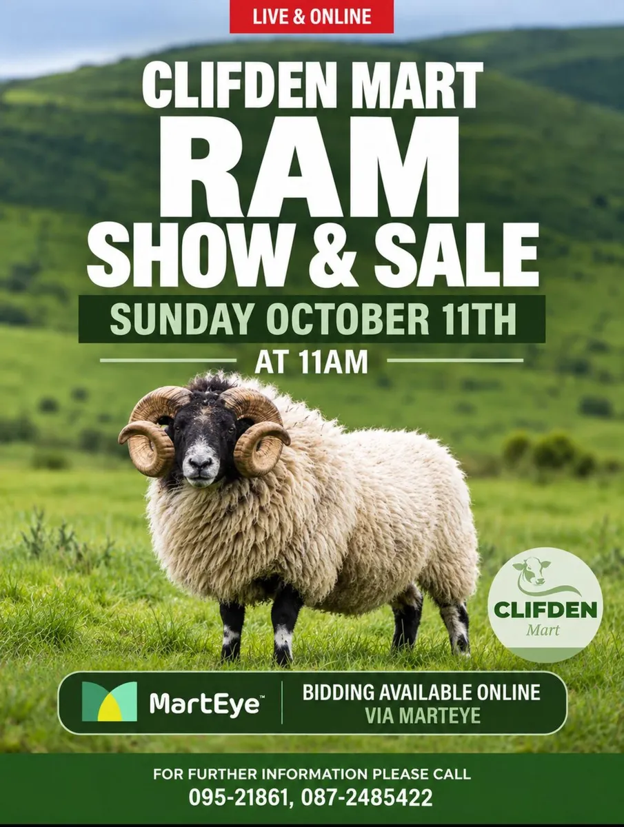 Ram Show & Sale Clifden Mart Oct 11th - Image 1