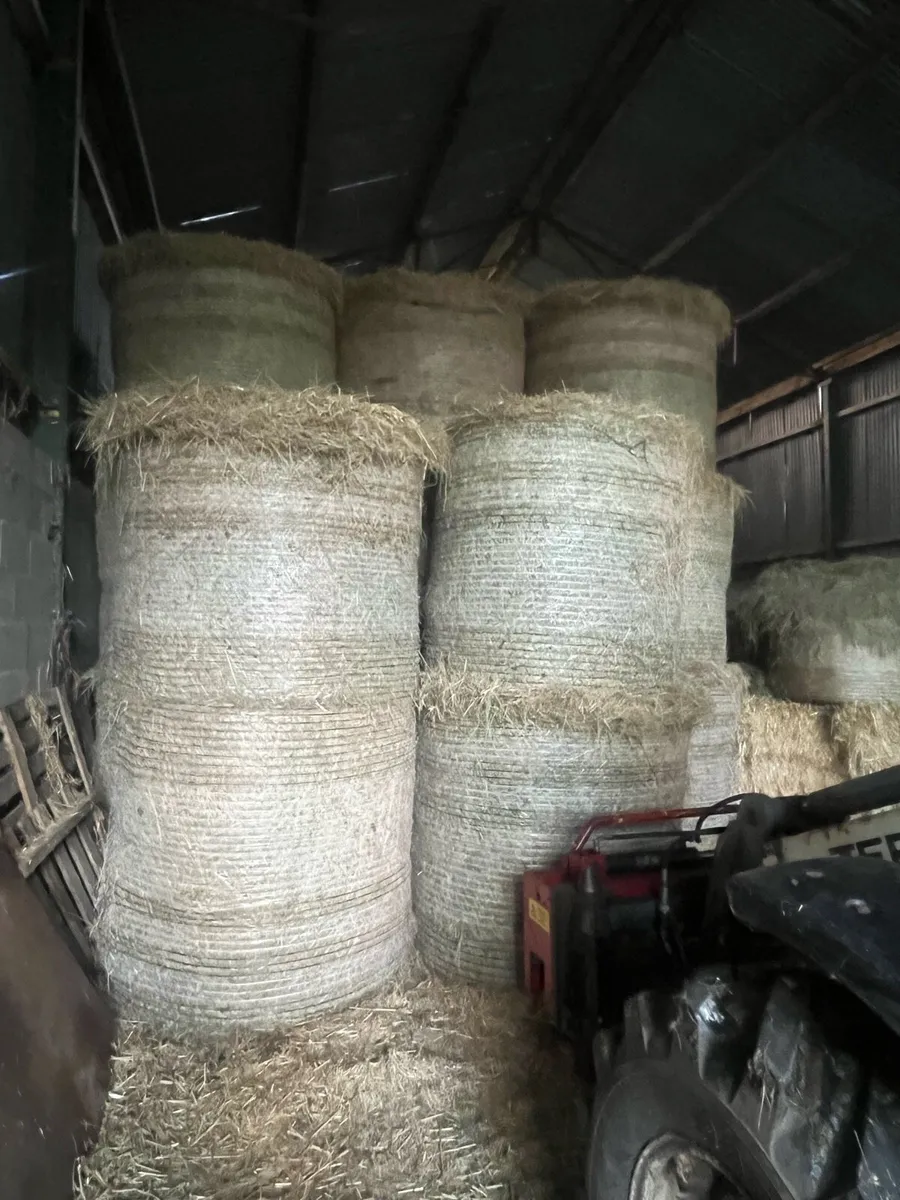 Meadow Hay for sale. - Image 3