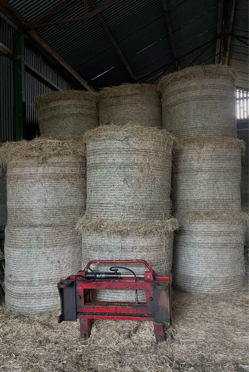 Meadow Hay for sale. - Image 1