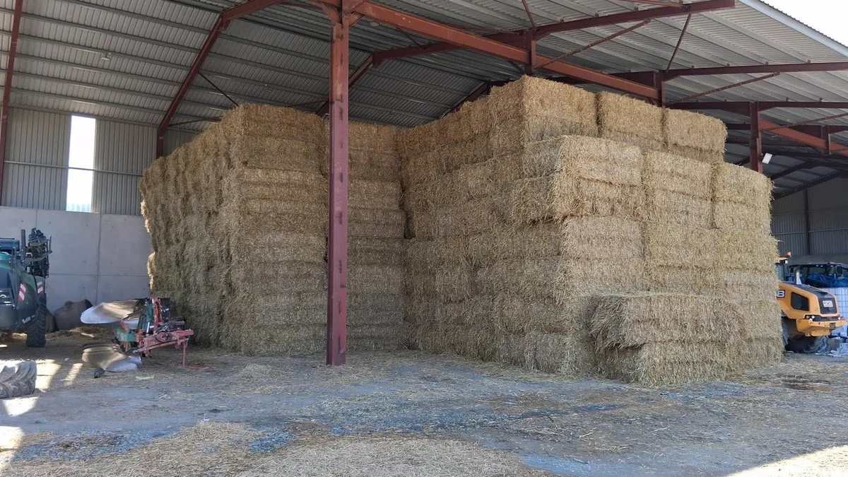 Wheaten straw for sale - Image 2