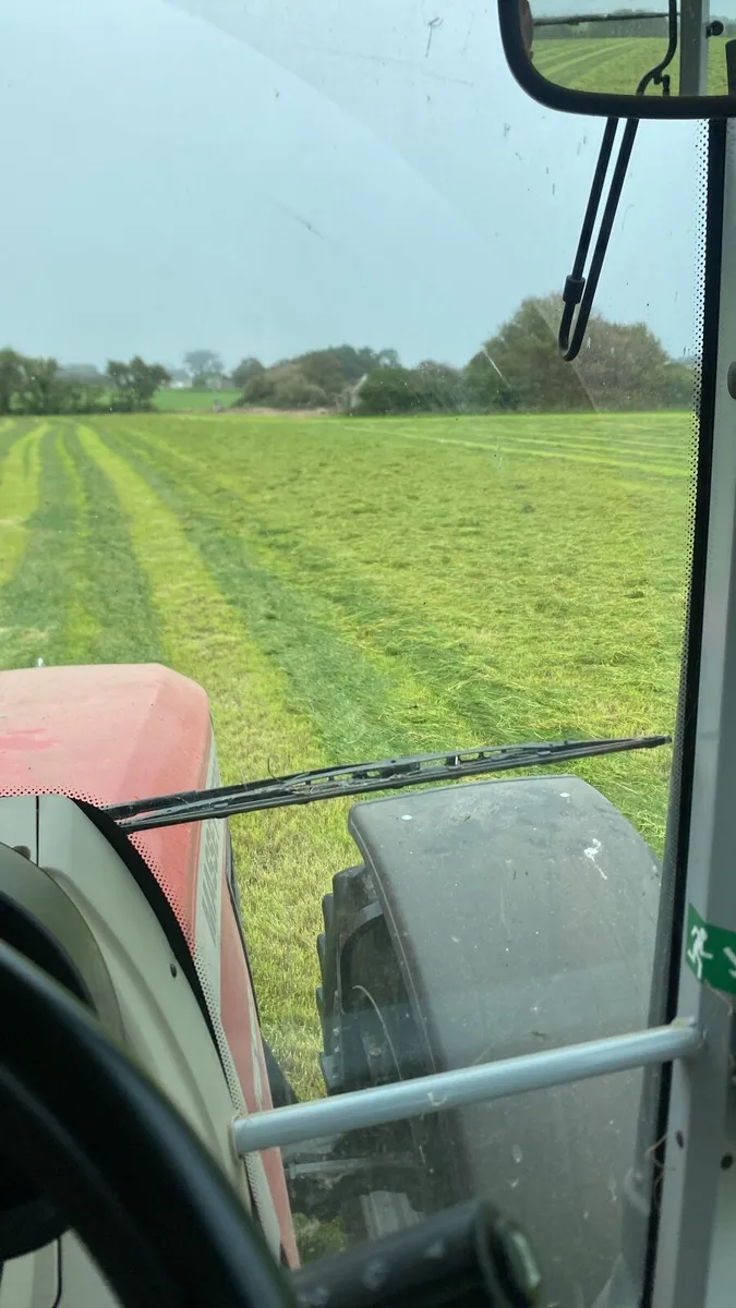 Baled silage and haylage - Image 2