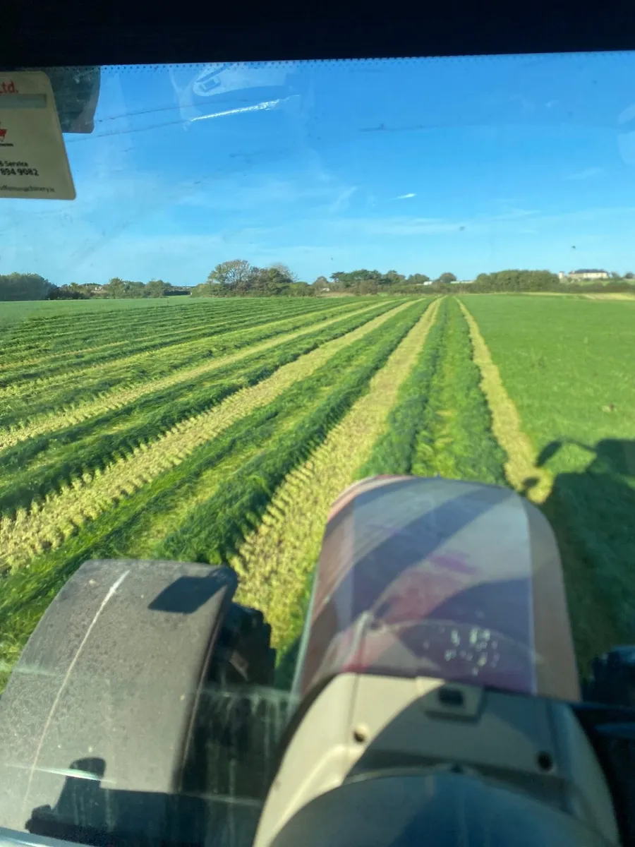 Baled silage and haylage - Image 1