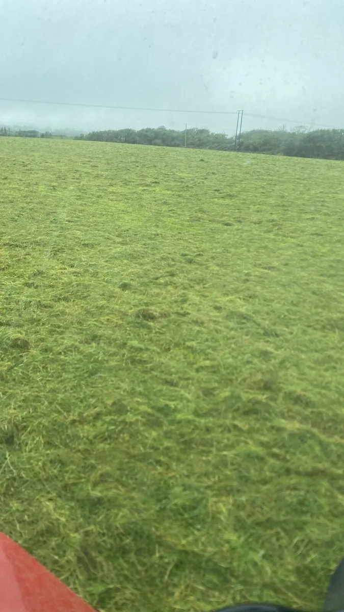 Baled silage and haylage - Image 4