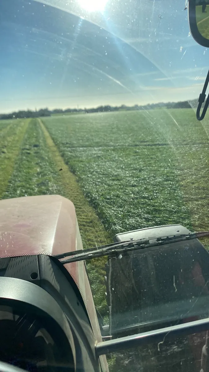 Baled silage and haylage - Image 3