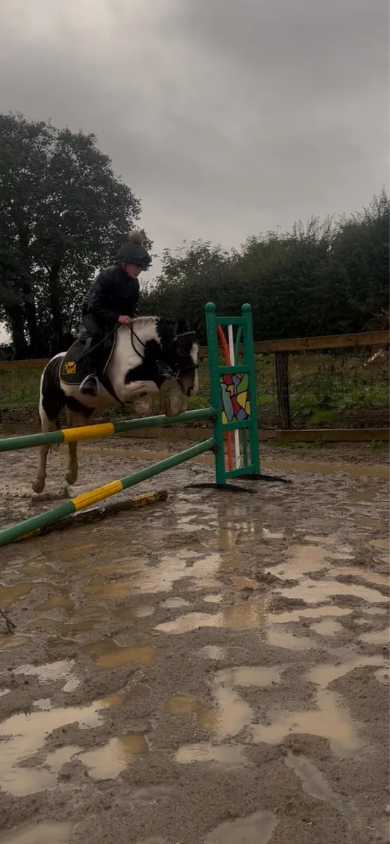 Pony - Image 2